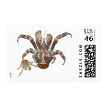 Wild Coconut Crab from Carribean postage