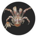 Wild Coconut Crab from Carribean stickers by OutDoorWorld Wild Coconut Crab from Carribean stickers
