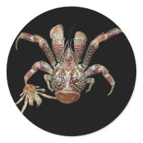 Wild Coconut Crab from Carribean stickers