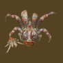 Wild Coconut Crab from Carribean