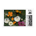 Wild colorfull flowers postage