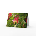 WILD COLUMBINE