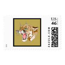 Wild Cougars from Junglewalk..com postage by junglewalkcom Wild Cougars from Junglewalk..com postage
