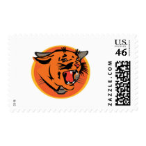 Wild Cougars from Junglewalk..com postage by junglewalkcom Wild Cougars from Junglewalk..com postage