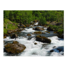 Wild Creek Postcard