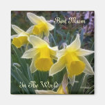 Wild Daffodils magnets