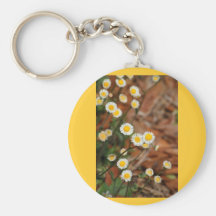 Wild Daisies Key Chain