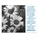 Wild Daisies Love posters by jenn35 Wild Daisies Love posters