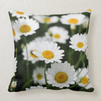 Wild daisy flowers close up pillows