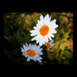 Wild Daisy Layered Poster posters