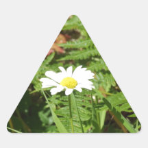 Wild Daisy with Ferns Stickers