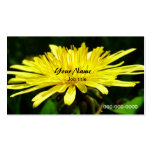 wild dandelion flowers. business card template