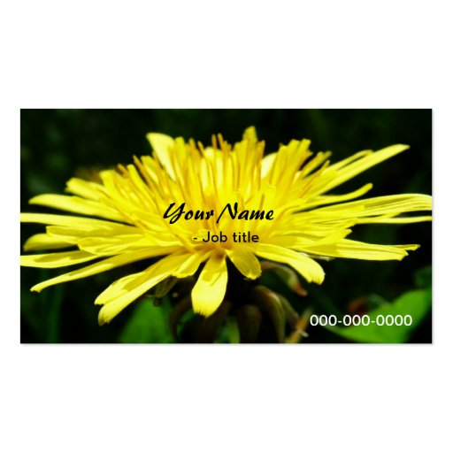 wild dandelion flowers. business card template (front side)