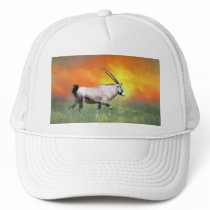 Wild deer at sunset mesh hat