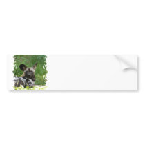 Wild Dog Bumper Sticker