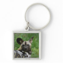 Wild Dog Keychain