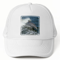 Wild Dolphin Baseball Hat
