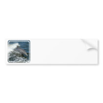 Wild Dolphin Bumper Stickers