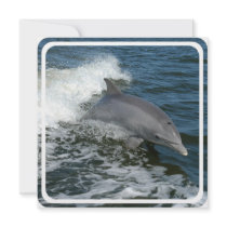 Wild Dolphin Invitation