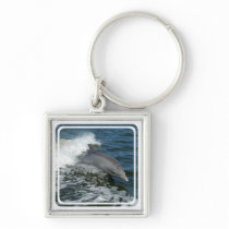 Wild Dolphin Keychain