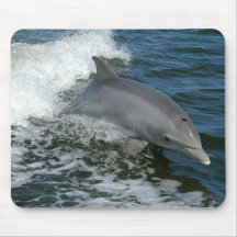 Wild Dolphin Mouse Pad