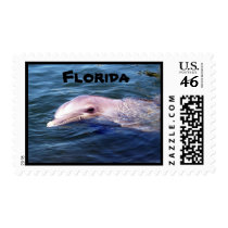Wild Dolphin Postage
