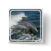 Wild Dolphin Square Pin