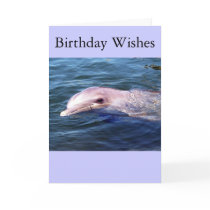 Wild Dophin Greeting Card