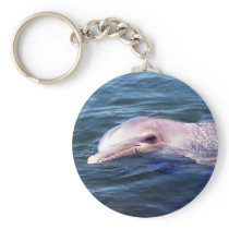 Wild Dophin Keychains