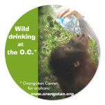 Wild Drinking stickers -version 1