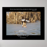 Wild Duck Landing on Icy pond Nature Poster