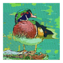Wild Duck Print