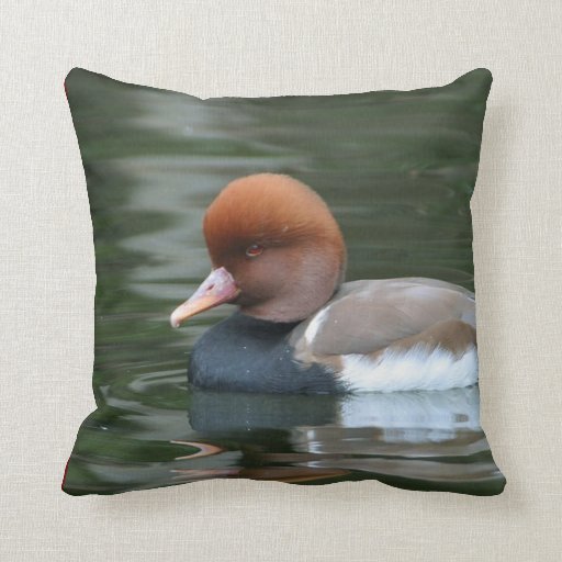 duck body pillow