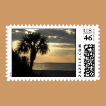 Wild Dunes Postage Stamp stamps