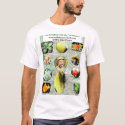 Wild Edible Plants by "Wildman" Steve Brill t-shirts by wildmansteve Wild Edible Plants by "Wildman" Steve Brill t-shirts