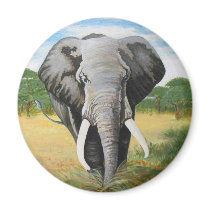 Wild Elephant magnets by myhome71 Wild Elephant magnets