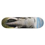 Wild Elephant Skateboard Decks