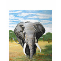 Wild Elephant t-shirts
