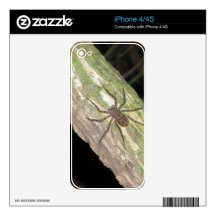 Wild Exotic Spiders, Beetles  and Insects Decal For The iPhone 4S