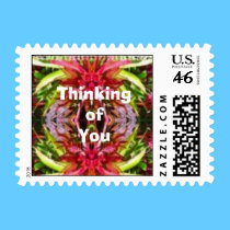 Wild Eyes Matching Postage postage