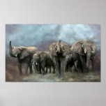 Wild Family Art Poster/Print