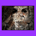 Wild Feline Melody posters by DigitalCreations Wild Feline Melody posters