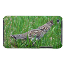 Wild Female Ruffed Grouse Wildlife Photography Barely There iPod Cases