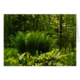 Wild Fern Abstract Fathers Day