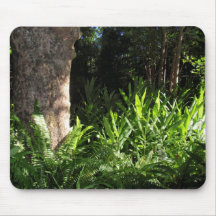 Wild Ferns and Ginger Mouse Pad