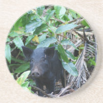 Wild Fijian Pig Coaster