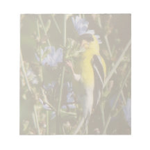 Wild Finch Bird Notepad
