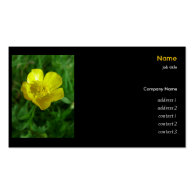 Wild flower - buttercup business card templates
