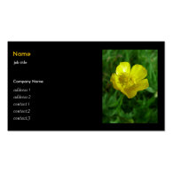Wild flower - buttercup business cards