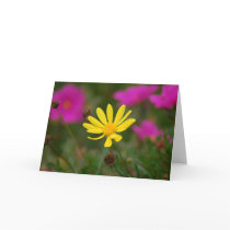 Wild Flower Greeting Card